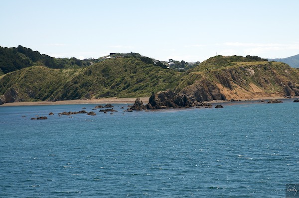 New Zealand 09 10  147